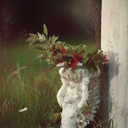 Photo #13660023