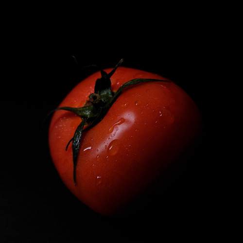 Photo #13660034
