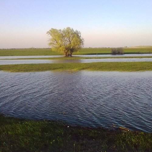 Photo #13660133