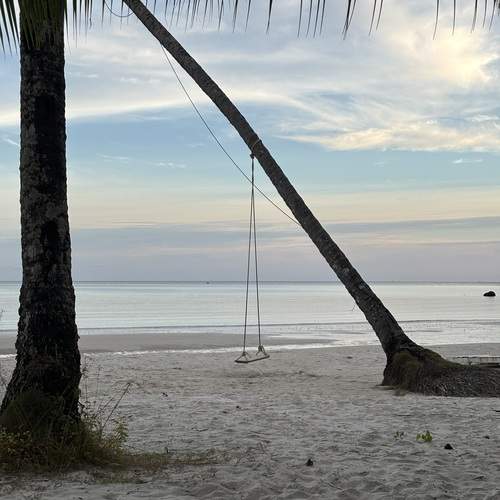 Photo #13660285