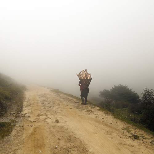 Photo #13660315