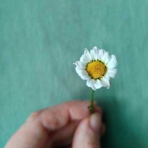 Photo #13660451