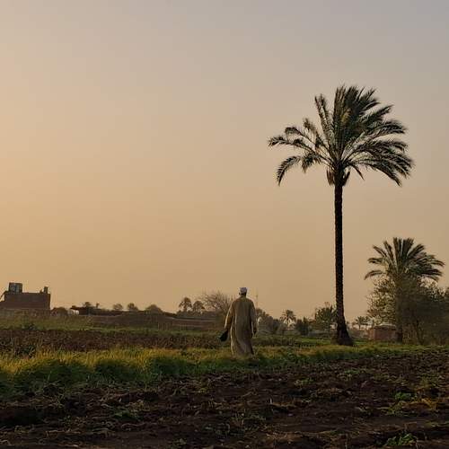 Photo #13660461
