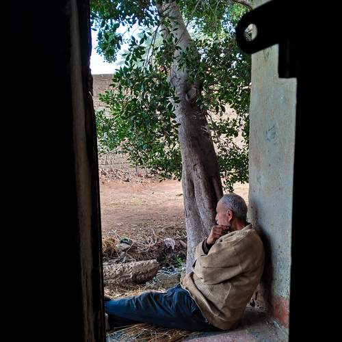 Photo #13660462