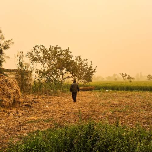 Photo #13660463