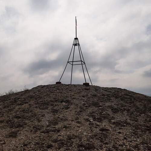 Photo #13660482