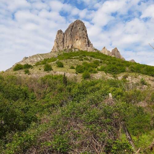 Photo #13660496