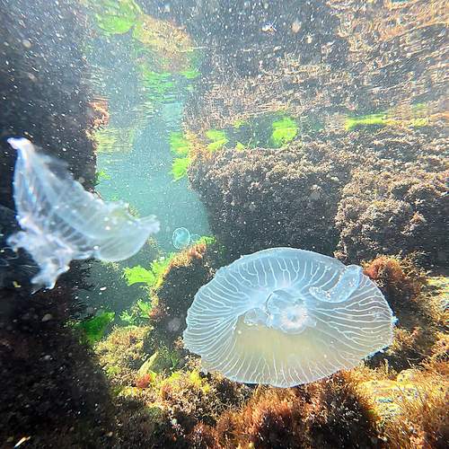 Photo #13660531
