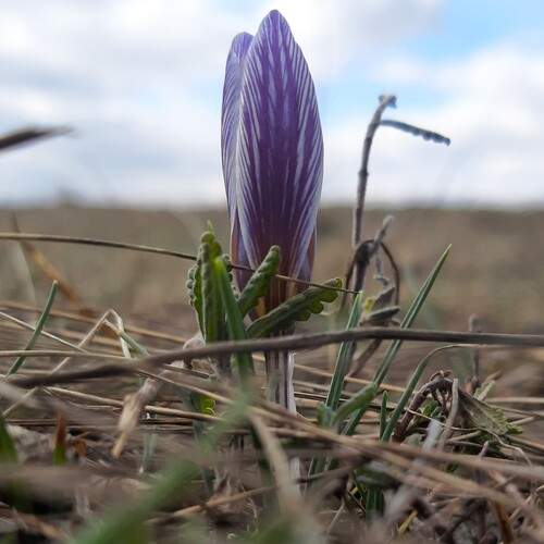 Photo #13660550
