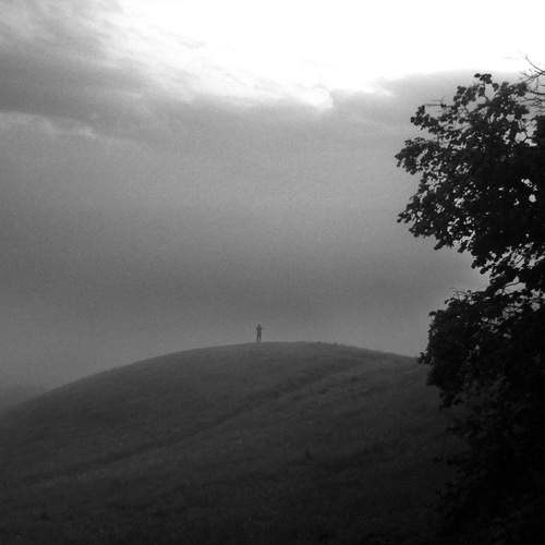 Photo #13660572