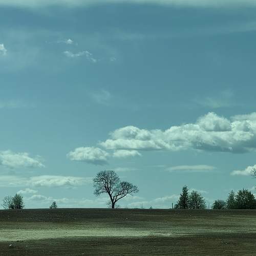 Photo #13660595