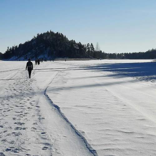 Photo #13660649