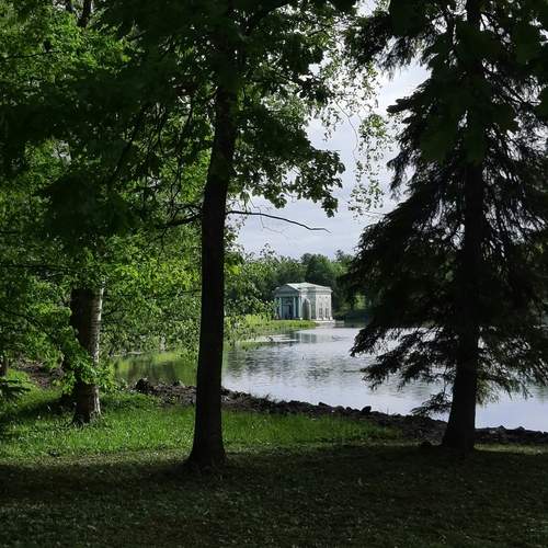 Photo #13660653