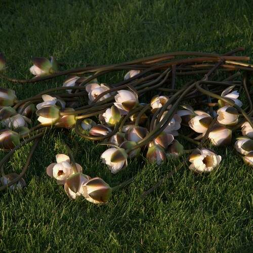 Photo #13660703