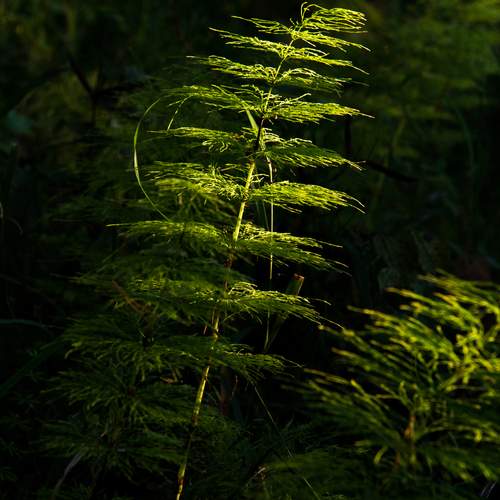 Photo #13660771