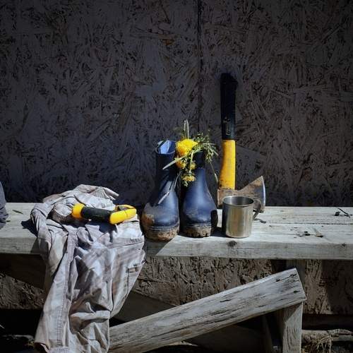 Photo #13660859