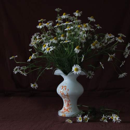 Photo #13660878