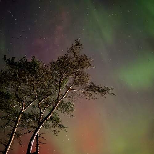Photo #13660930