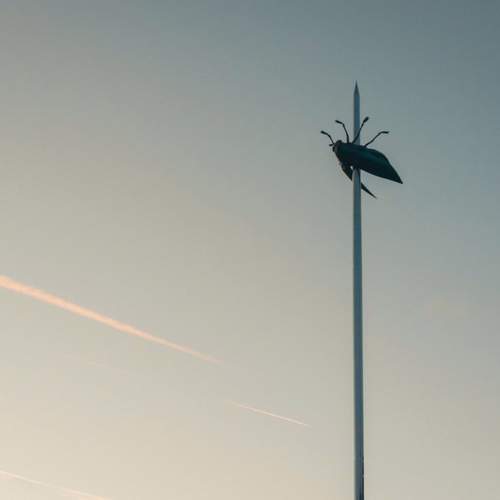 Photo #13660968