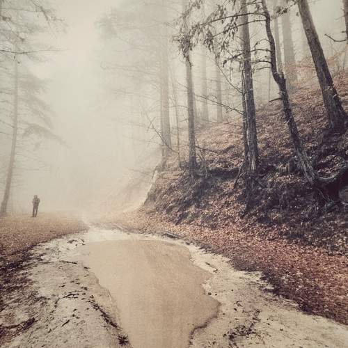 Photo #13661027