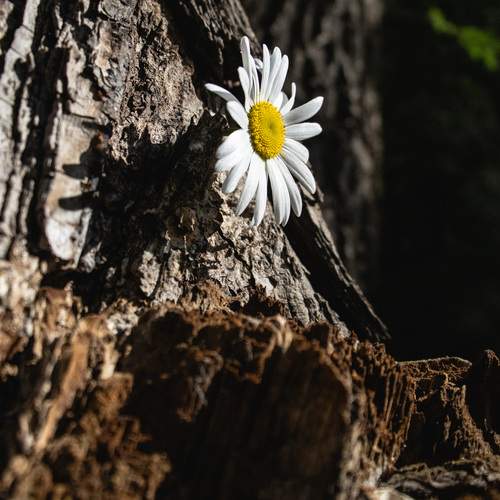 Photo #13661078