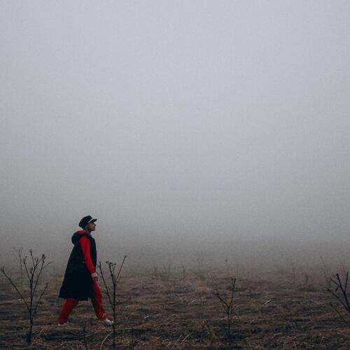 Photo #13661084
