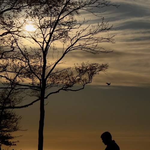 Photo #13661146