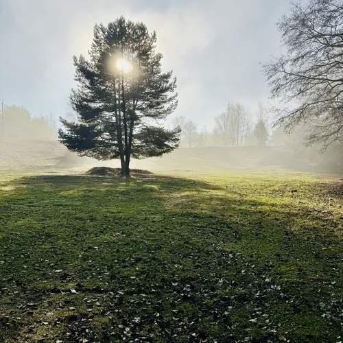 Photo #13661164