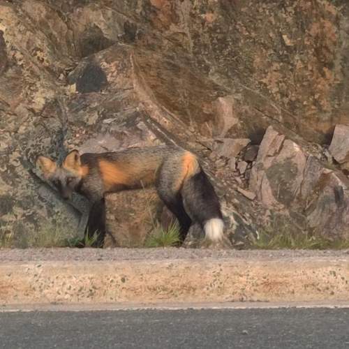 Photo #13661189