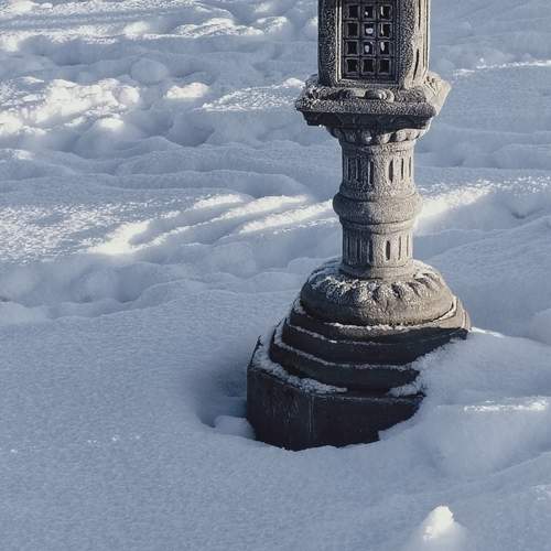 Photo #13661299