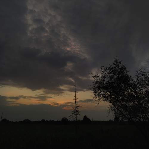 Photo #13661315