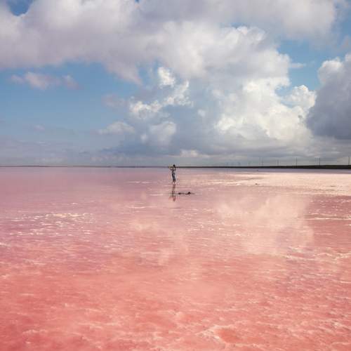 Photo #13661317