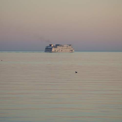 Photo #13661336