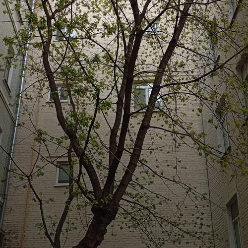 Photo #13661361