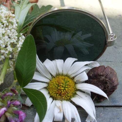 Photo #13661532