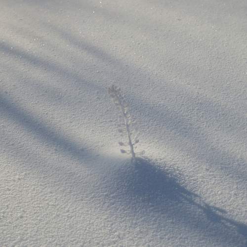 Photo #13661666