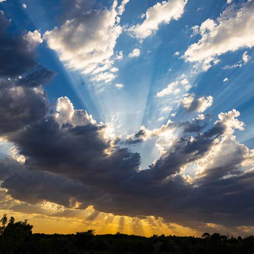 Photo #13661683