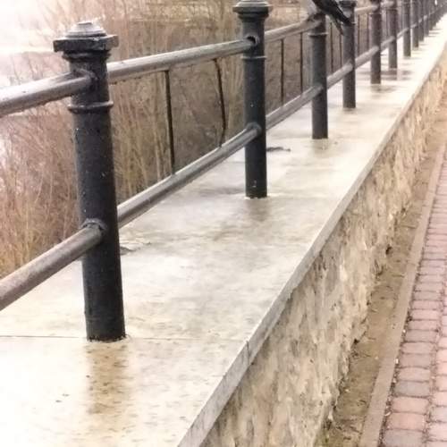 Photo #13661691