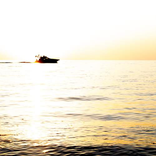 Photo #13661694