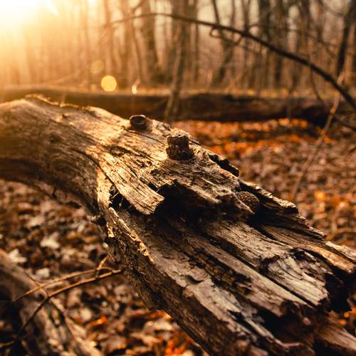 Photo #13661768