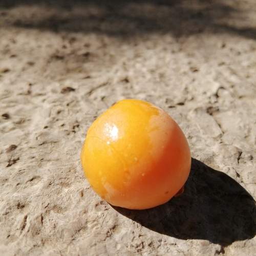 Photo #13661940