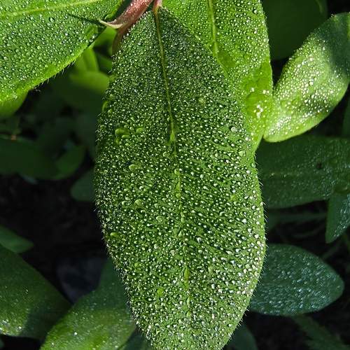 Photo #13661957