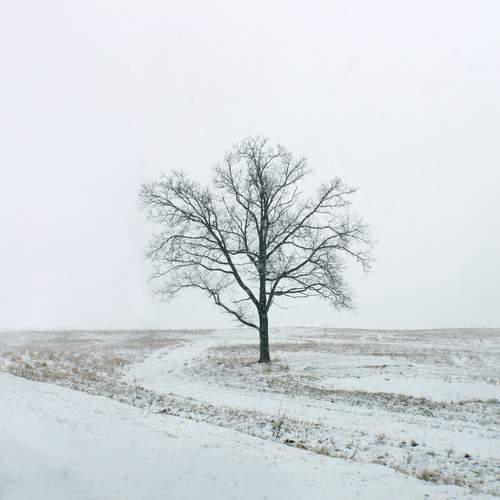 Photo #13662024