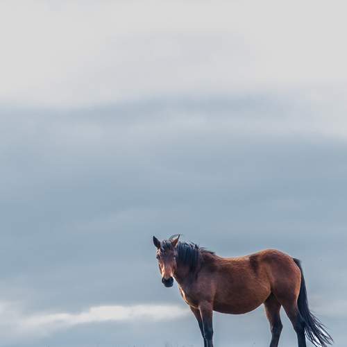 Photo #13662035