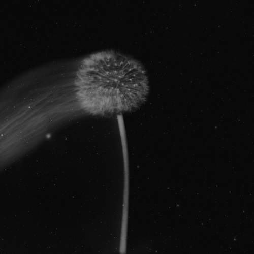 Photo #13662049
