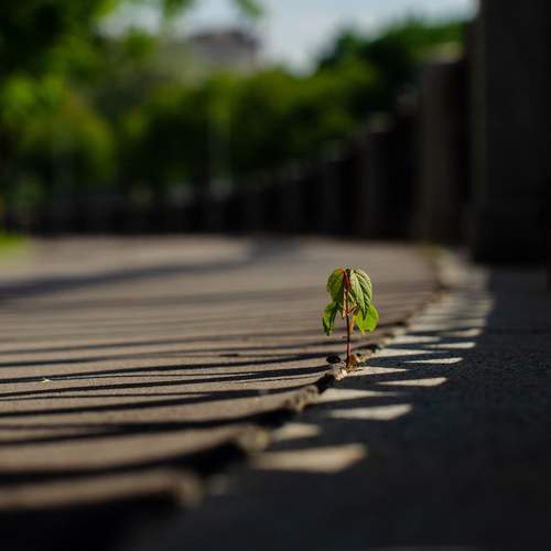 Photo #13662265