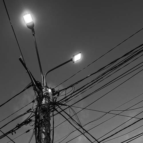 Photo #13662283