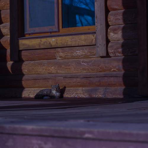 Photo #13662319