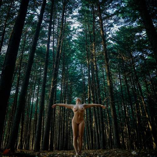 Photo #13662352