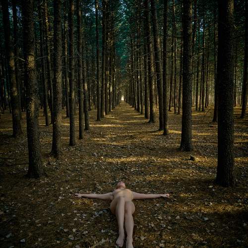Photo #13662354